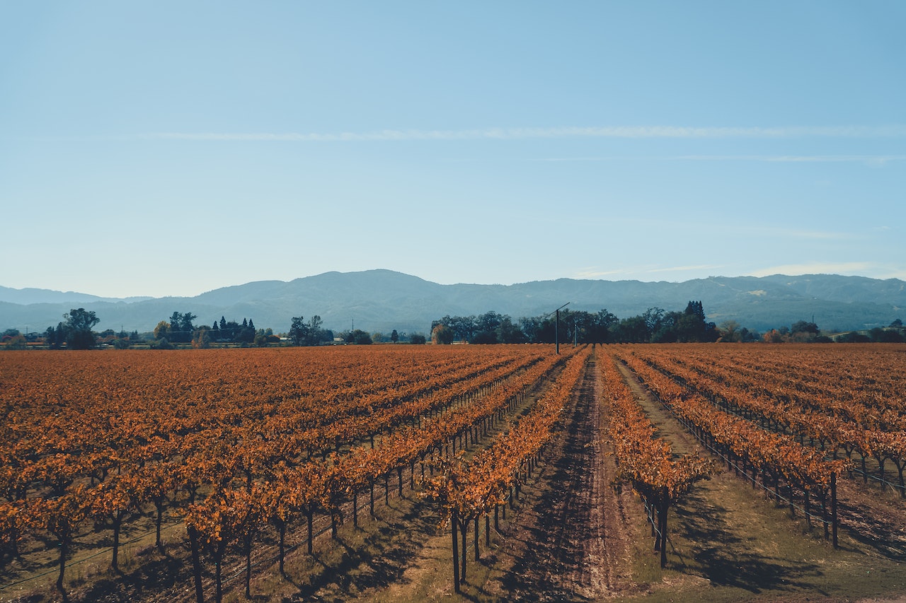 Napa valley